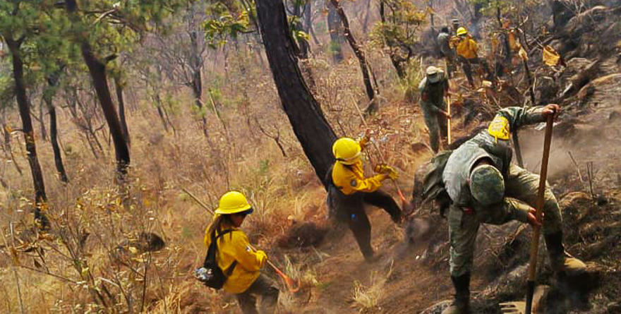 ESTADO DE MÉXICO DESPLIEGA 154 BRIGADISTAS PARA COMBATIR INCENDIOS EN VALLE DE BRAVO