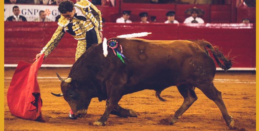 SUSPENDEN, OOOTRA VEZ, CORRIDAS DE TOROS EN LA PLAZA MÉXICO