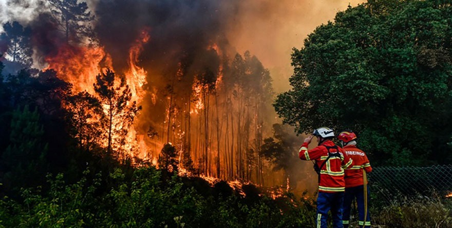 LA SITUACIÓN AMBIENTAL ES CRÍTICA