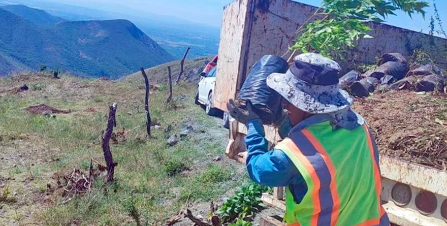 SE PLANTARÁN 10 MIL ÁRBOLES EN CUANTO INICIEN LAS LLUVIAS