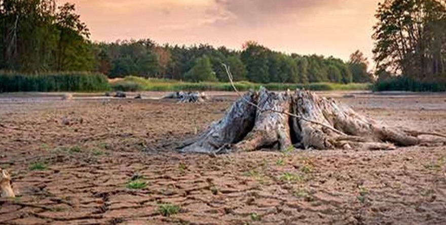 DESERTIFICACIÓN PONE EN PELIGRO A SELVAS, BOSQUES Y OTROS ECOSISTEMAS