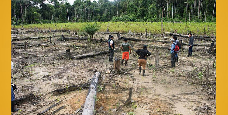 DESALENTADOR PANORAMA PARA LA BIODIVERSIDAD MEXICANA POR EL CALENTAMIENTO GLOBAL