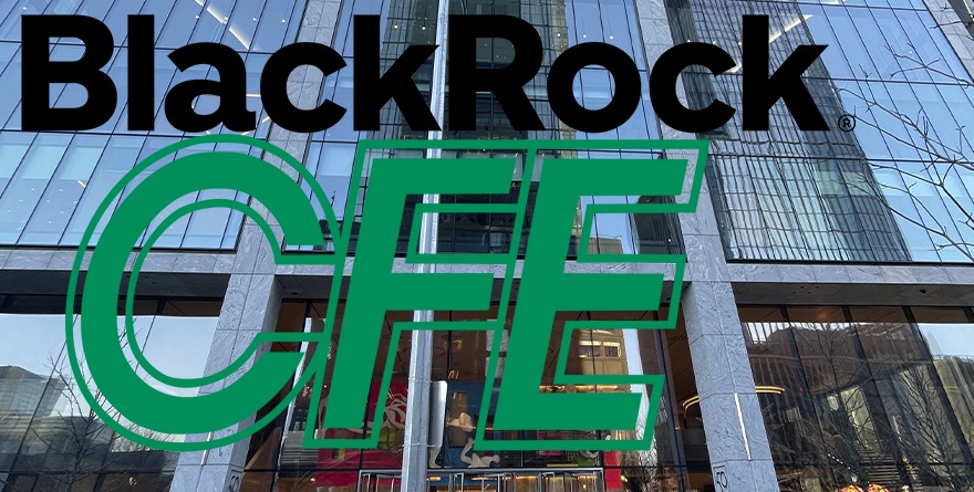 DEMANDA BLACKROCK EN NY A CFE POR FRENAR CONTRATO